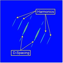 Collagen – Exploring Nanoscale Morphology – Banaszak Holl Group